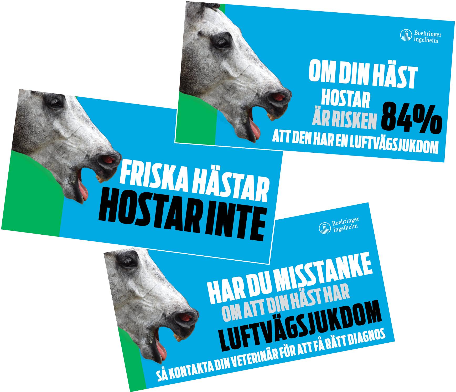 friska-haster-hostar-inte-facebook