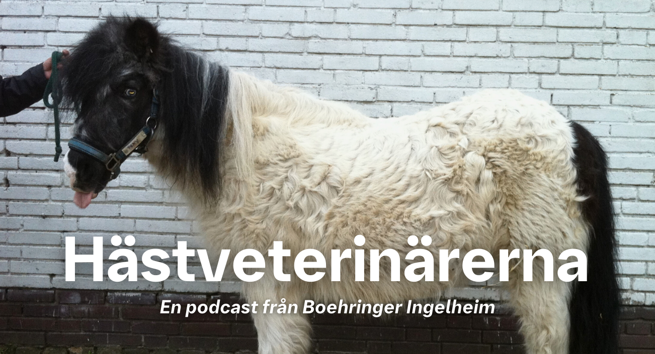 Hästveterinärerna SE