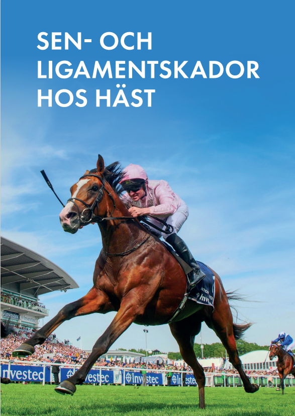 Sen- och Ligamentskador hos häst Sen- och Ligamentskador hos häst