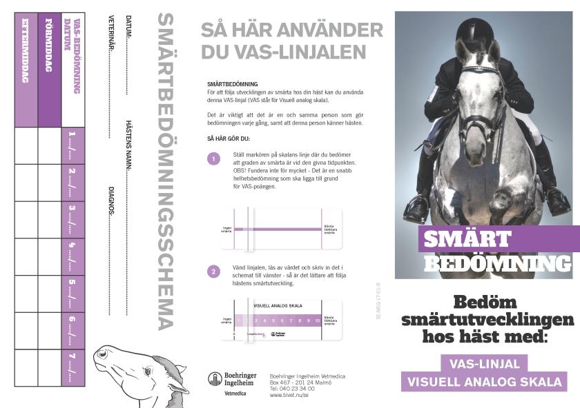 Smärtbedömning med VAS-linjal