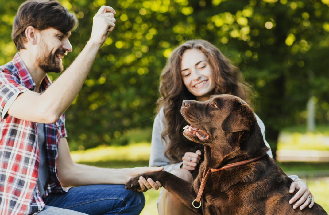 Dog with family