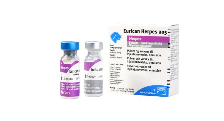 Eurican Herpes 205