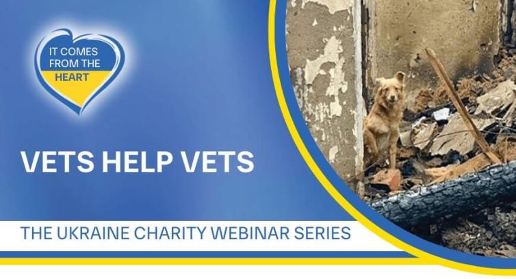 Vets Help Vets webinarserie