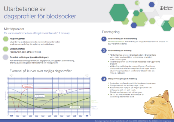 Vägledning för dagsprofiler för blodsocker