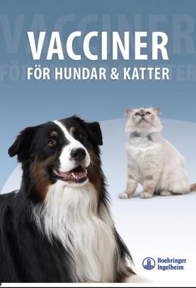 Vacciner för hundar &amp; katter