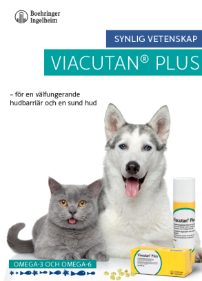 Veterinärbroschyr: Information om Viacutan Plus