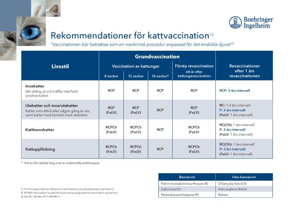 Rekommendationer för vaccination av katt