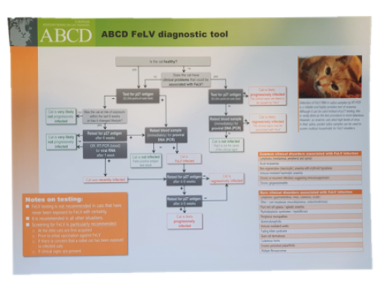 ABCD FeLV diagnostic tool