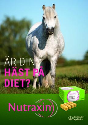Är din häst på diet?