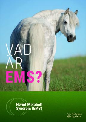 Vad är EMS?