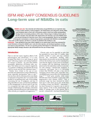 Long term use of NSAIDs in cats